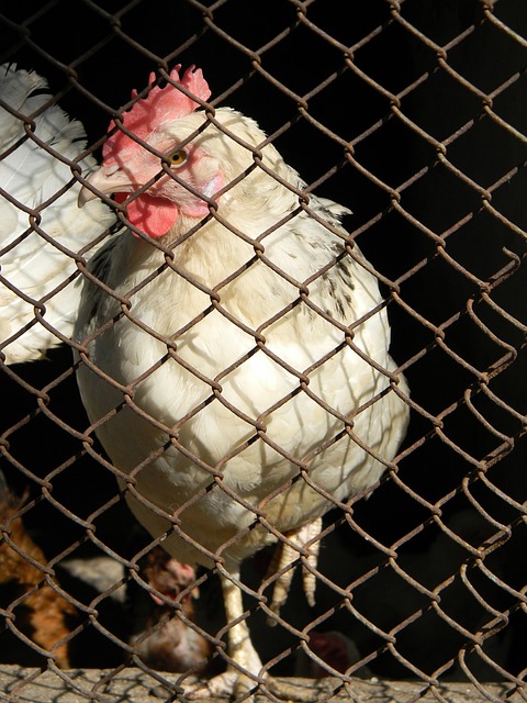 开云APP：西甲：巴塞罗那队以4比0 轻取皇家社会.